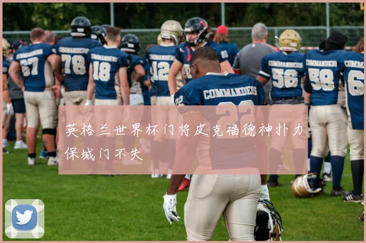 英格兰世界杯门将皮克福德神扑力保城门不失