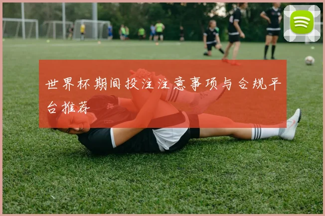 世界杯期间投注注意事项与合规平台推荐