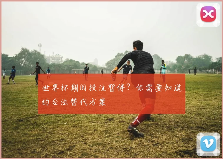 世界杯期间投注暂停?你需要知道的合法替代方案