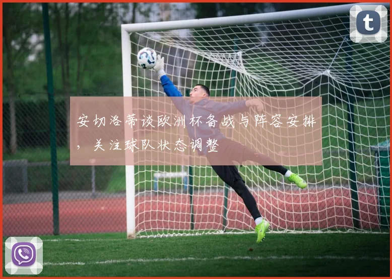 安切洛蒂谈欧洲杯备战与阵容安排，关注球队状态调整