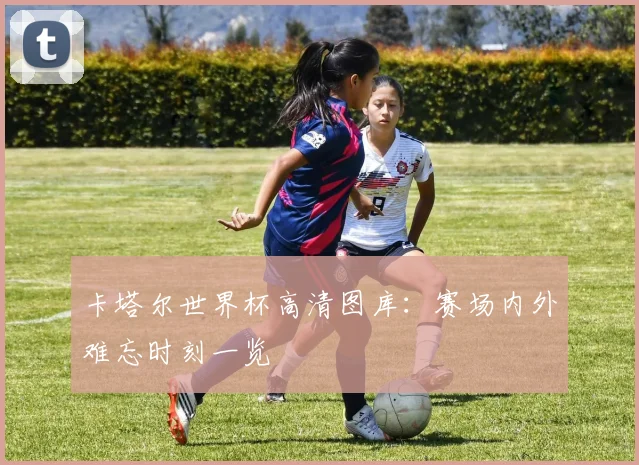 卡塔尔世界杯高清图库：赛场内外难忘时刻一览