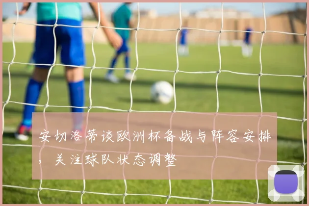 安切洛蒂谈欧洲杯备战与阵容安排，关注球队状态调整
