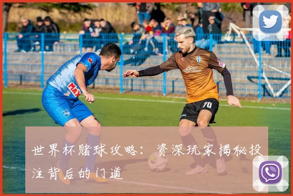 世界杯赌球攻略:资深玩家揭秘投注背后的门道