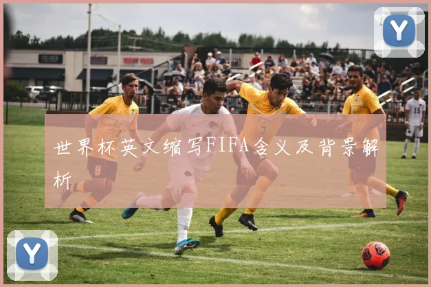 世界杯英文缩写FIFA含义及背景解析