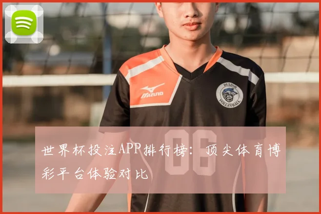 世界杯投注APP排行榜：顶尖体育博彩平台体验对比