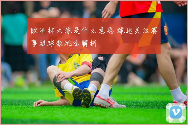 欧洲杯大球是什么意思 球迷关注赛事进球数玩法解析