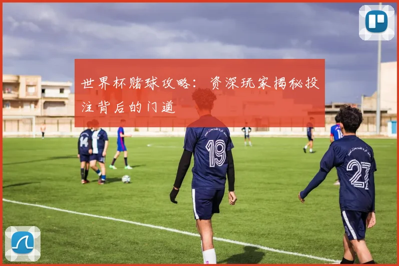 世界杯赌球攻略:资深玩家揭秘投注背后的门道