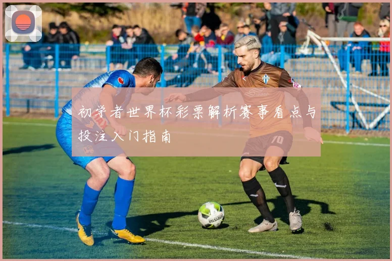 初学者世界杯彩票解析赛事看点与投注入门指南
