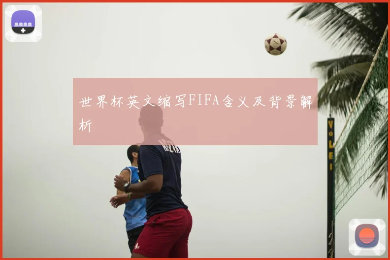 世界杯英文缩写FIFA含义及背景解析