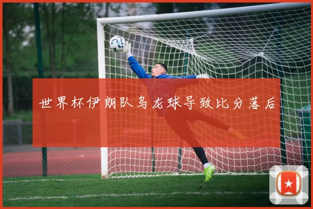 世界杯伊朗队乌龙球导致比分落后